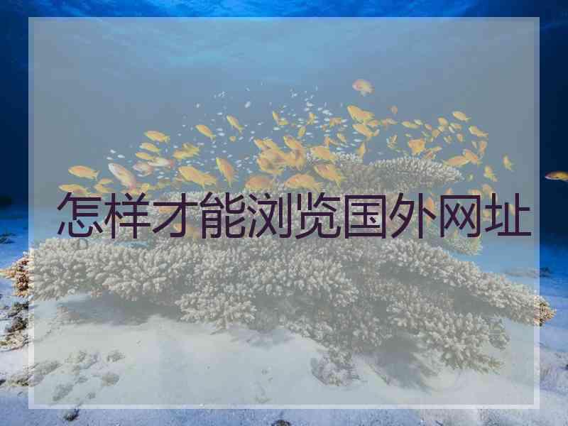 怎样才能浏览国外网址