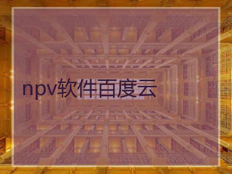 npv软件百度云