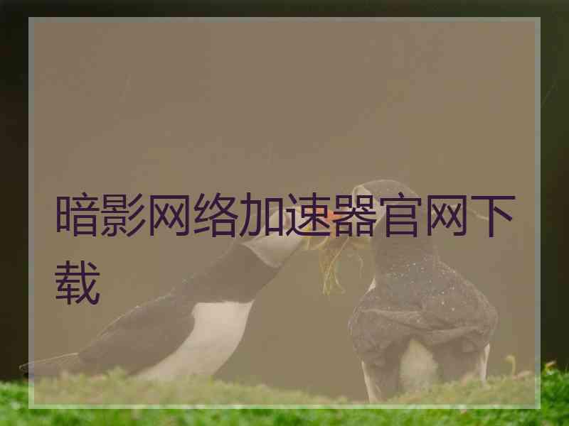 暗影网络加速器官网下载