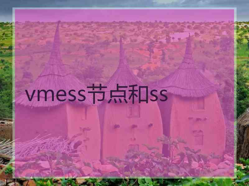 vmess节点和ss