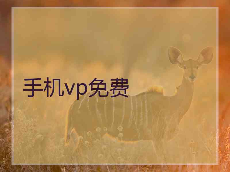 手机vp免费
