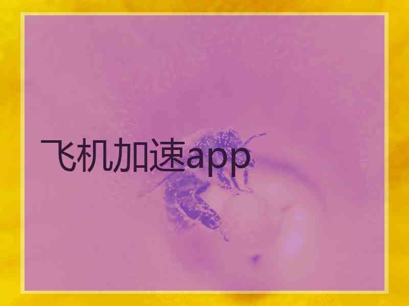 飞机加速app