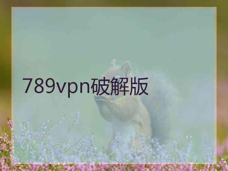 789vpn破解版