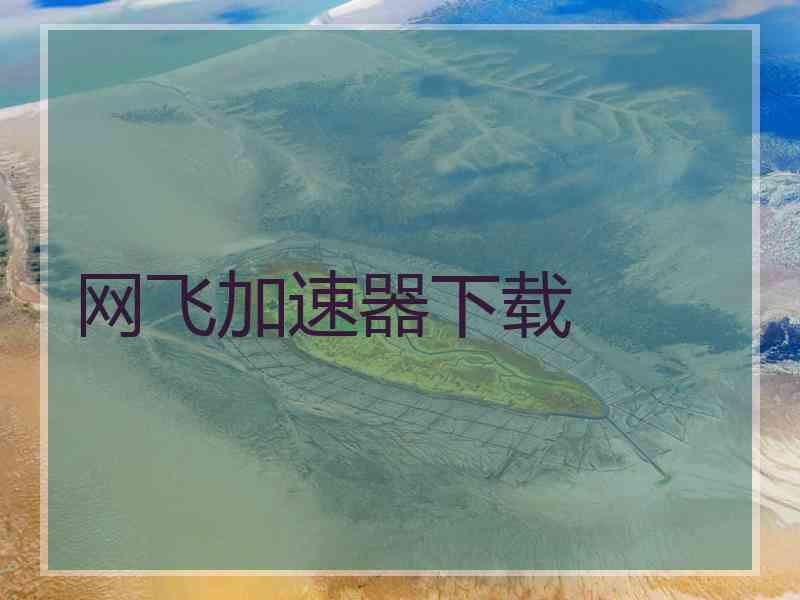 网飞加速器下载