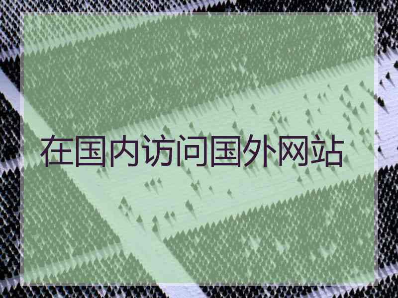 在国内访问国外网站