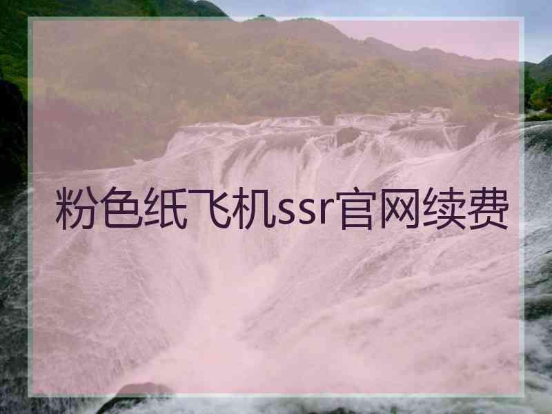 粉色纸飞机ssr官网续费