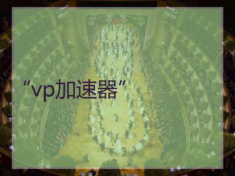 “vp加速器”
