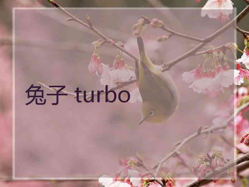 兔子 turbo