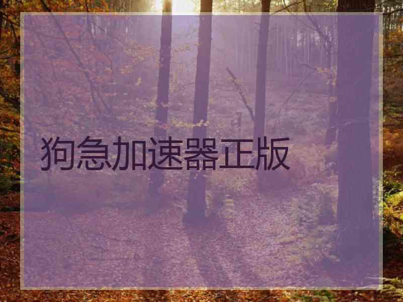 狗急加速器正版