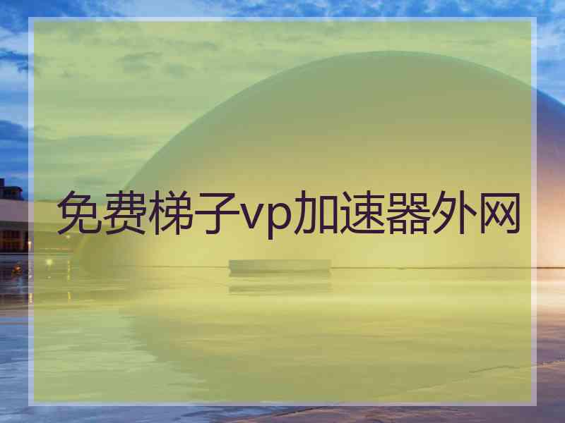 免费梯子vp加速器外网