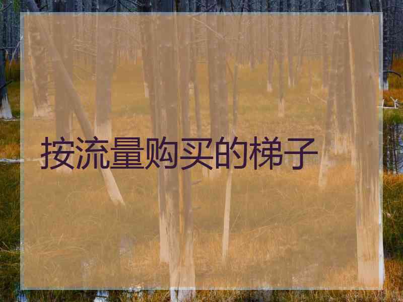 按流量购买的梯子