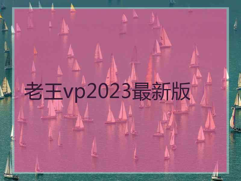 老王vp2023最新版