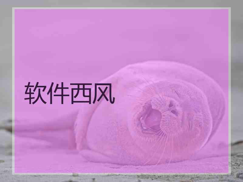 软件西风