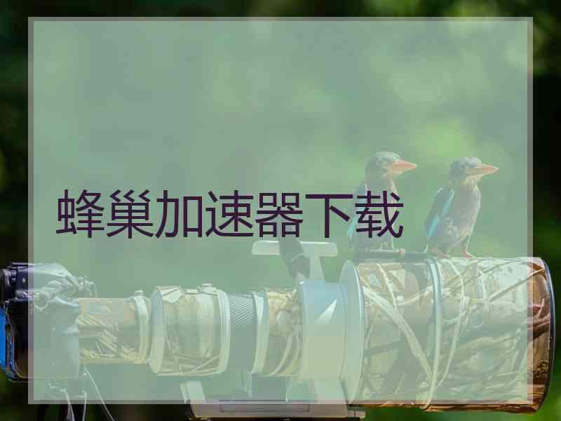 蜂巢加速器下载