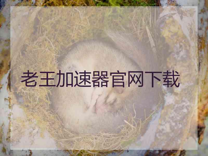 老王加速器官网下载
