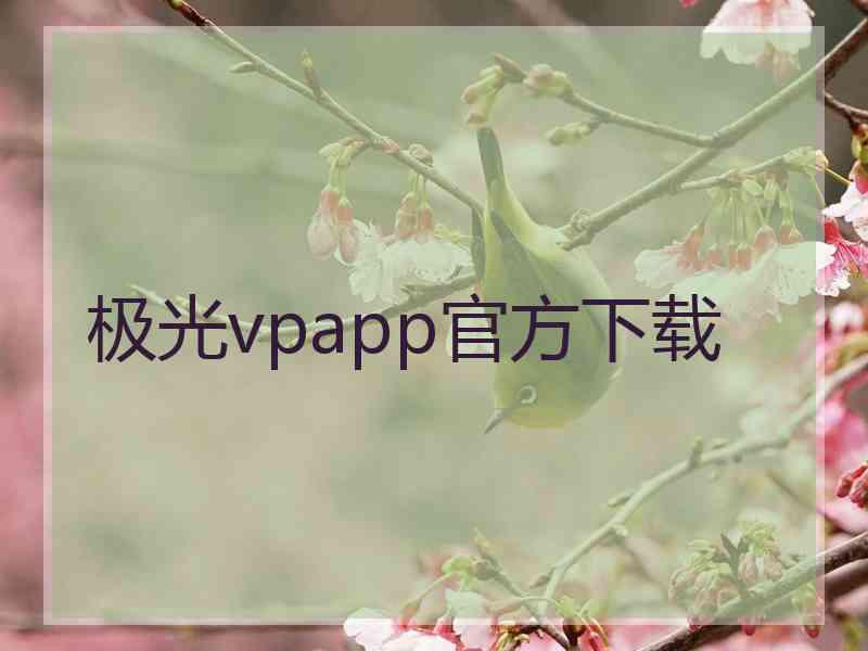 极光vpapp官方下载