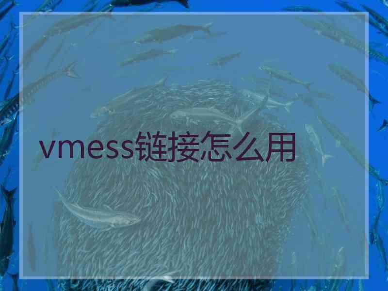 vmess链接怎么用