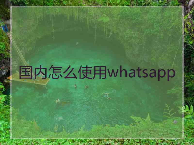 国内怎么使用whatsapp