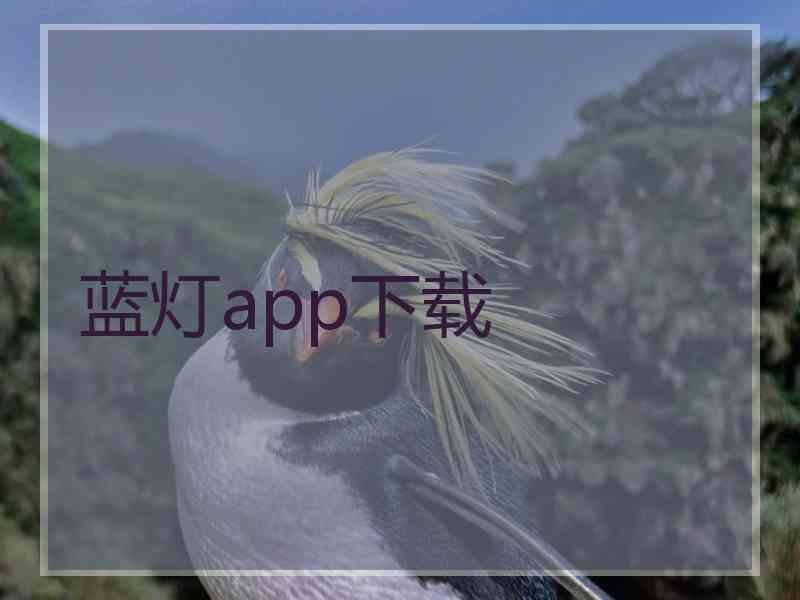 蓝灯app下载