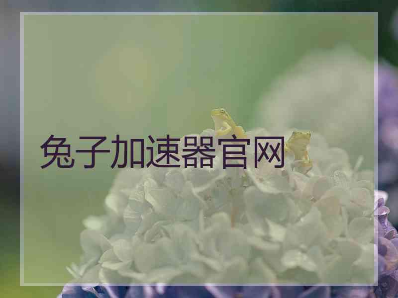 兔子加速器官网