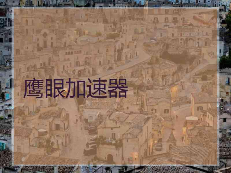 鹰眼加速器
