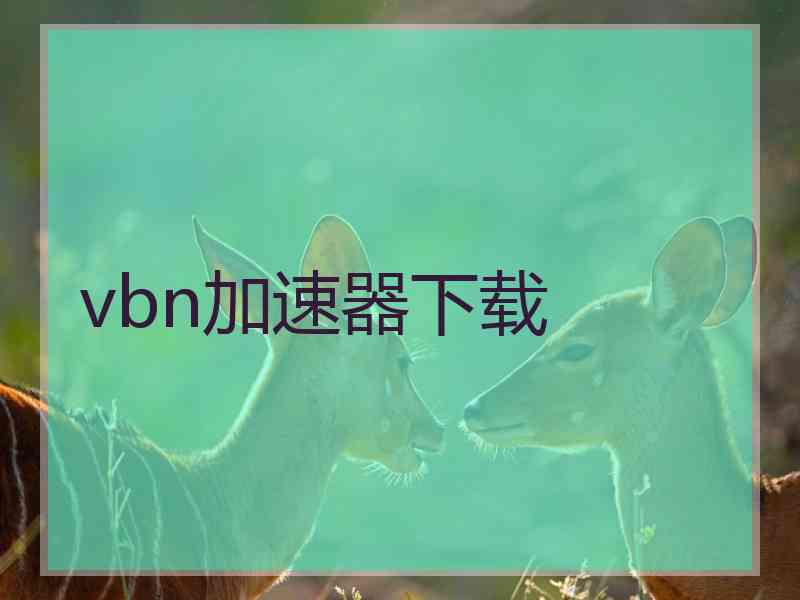 vbn加速器下载