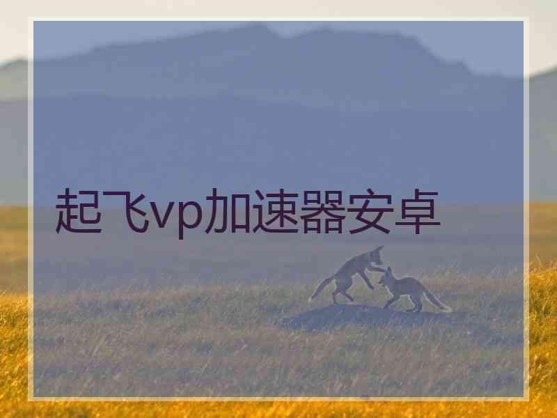 起飞vp加速器安卓