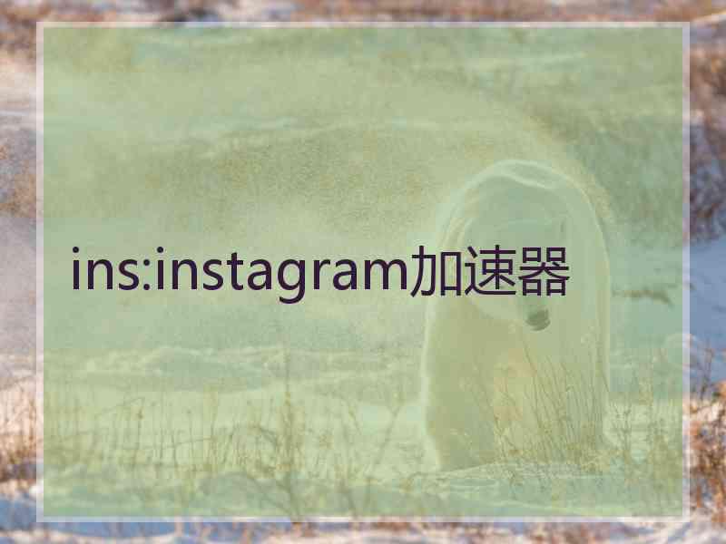 ins:instagram加速器