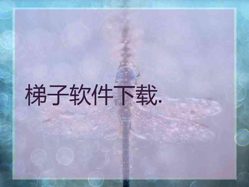 梯子软件下载.