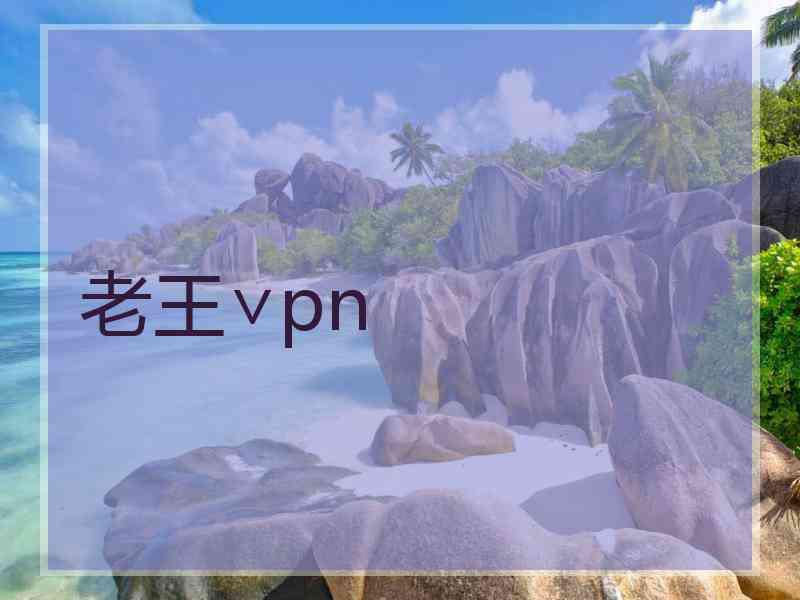 老王∨pn