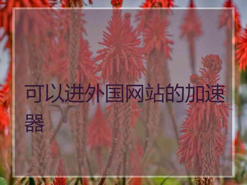 可以进外国网站的加速器