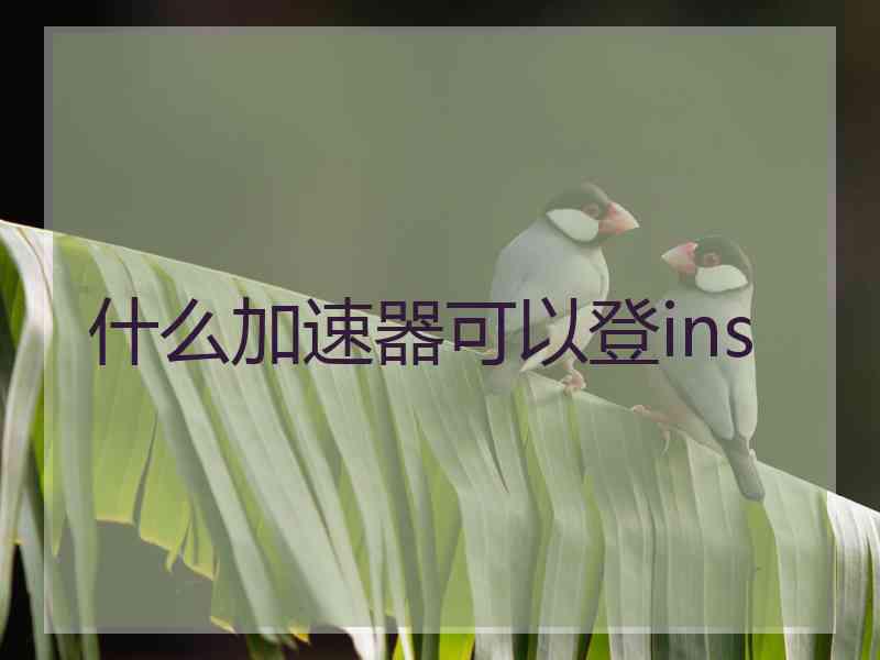 什么加速器可以登ins