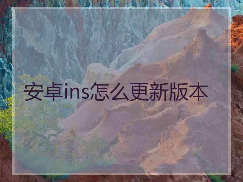 安卓ins怎么更新版本
