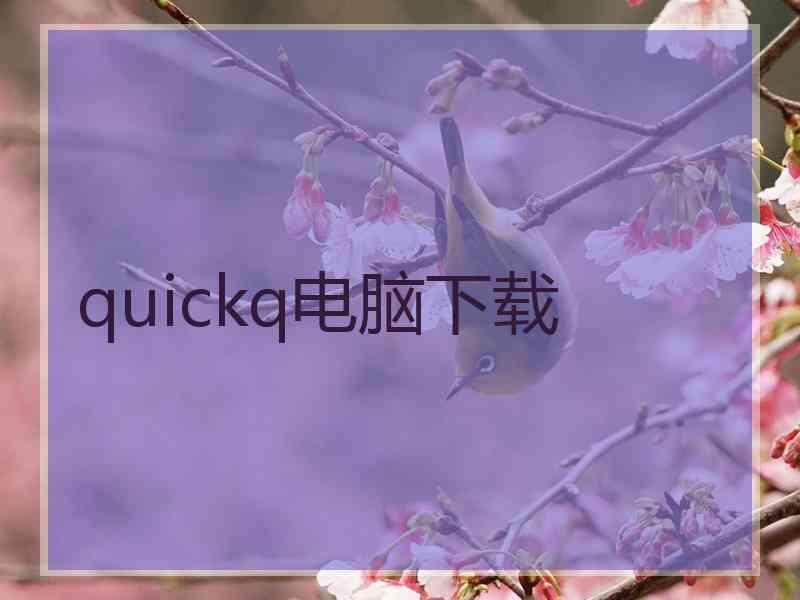quickq电脑下载