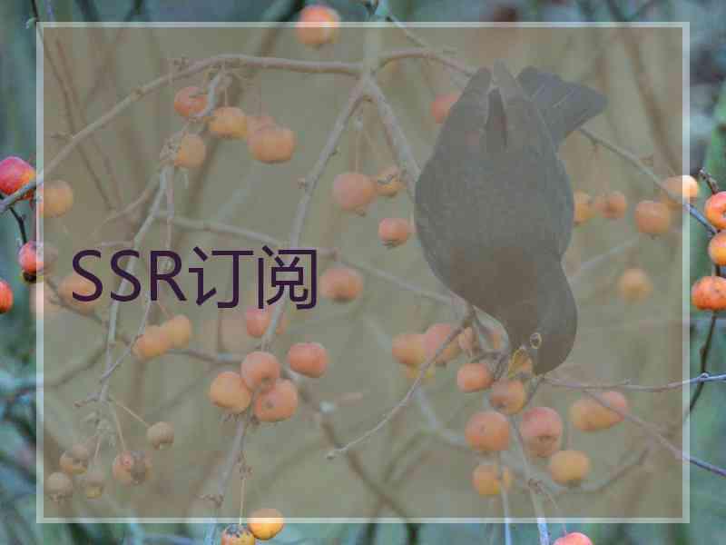 SSR订阅