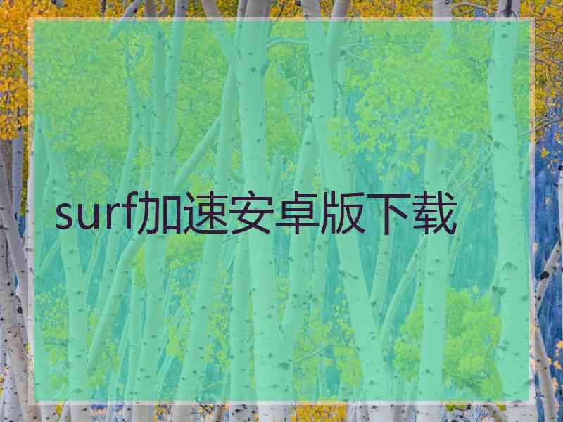 surf加速安卓版下载