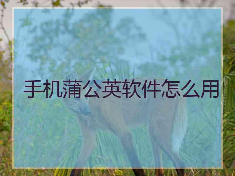 手机蒲公英软件怎么用