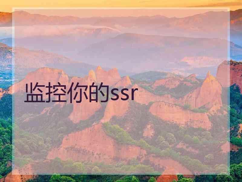 监控你的ssr