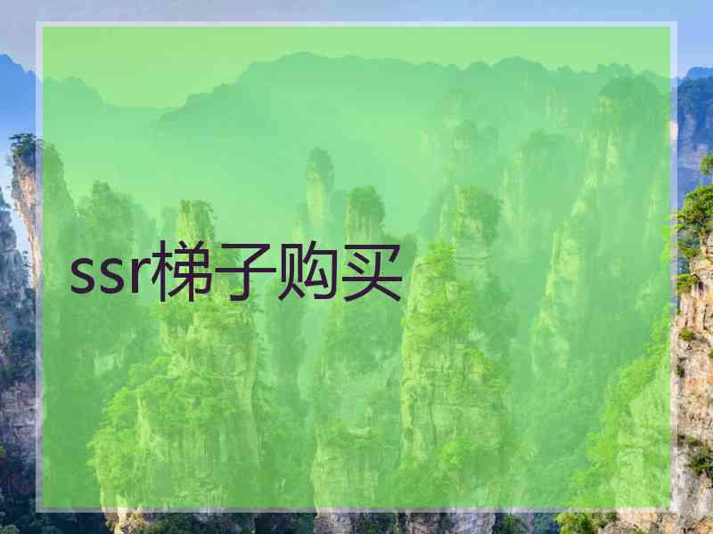 ssr梯子购买