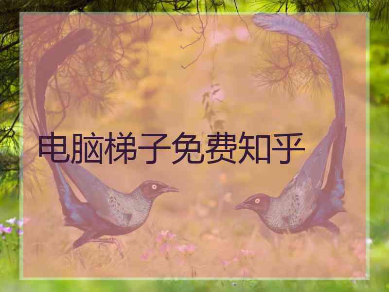 电脑梯子免费知乎
