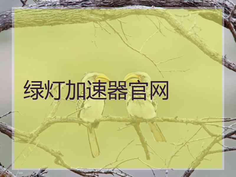 绿灯加速器官网