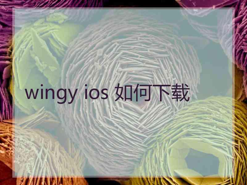 wingy ios 如何下载