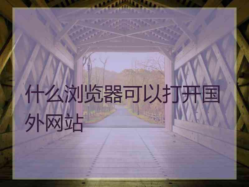 什么浏览器可以打开国外网站