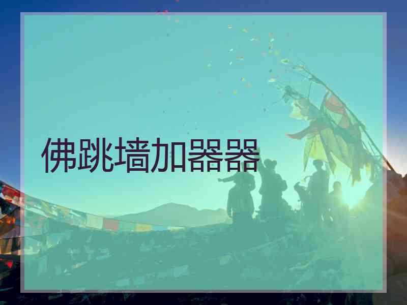 佛跳墙加器器