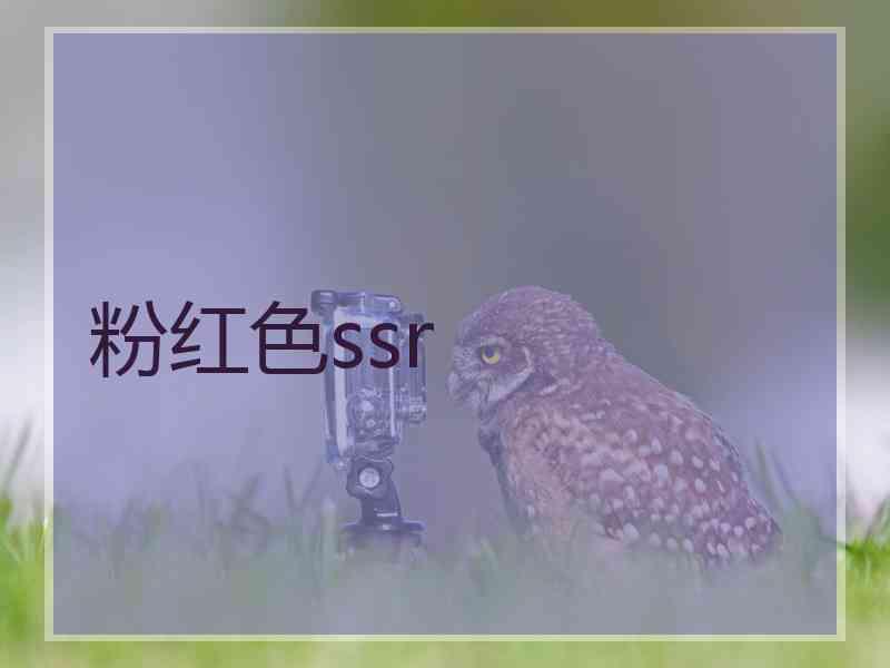 粉红色ssr