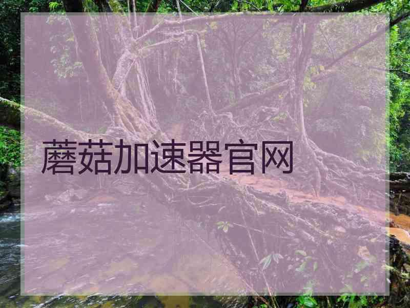 蘑菇加速器官网