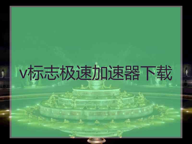 v标志极速加速器下载