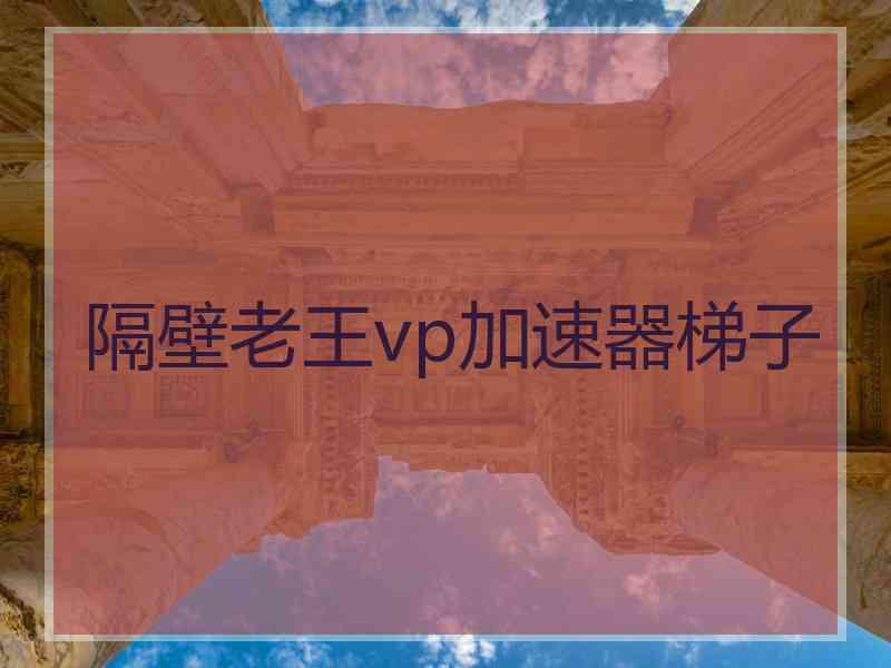 隔壁老王vp加速器梯子