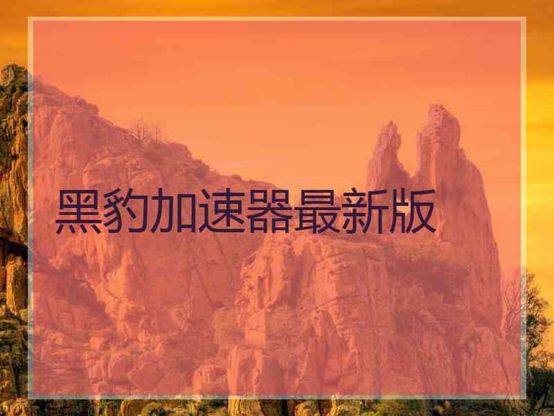 黑豹加速器最新版