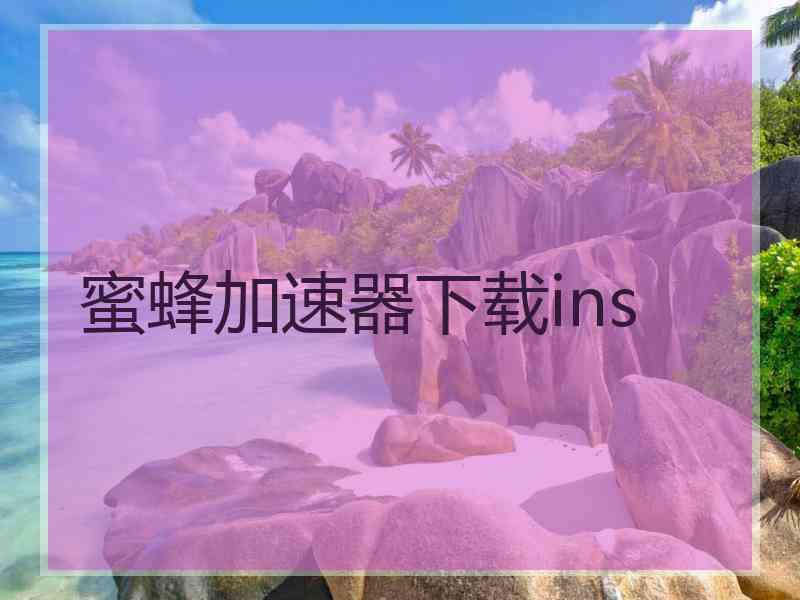 蜜蜂加速器下载ins